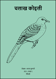 चलाख कोइली