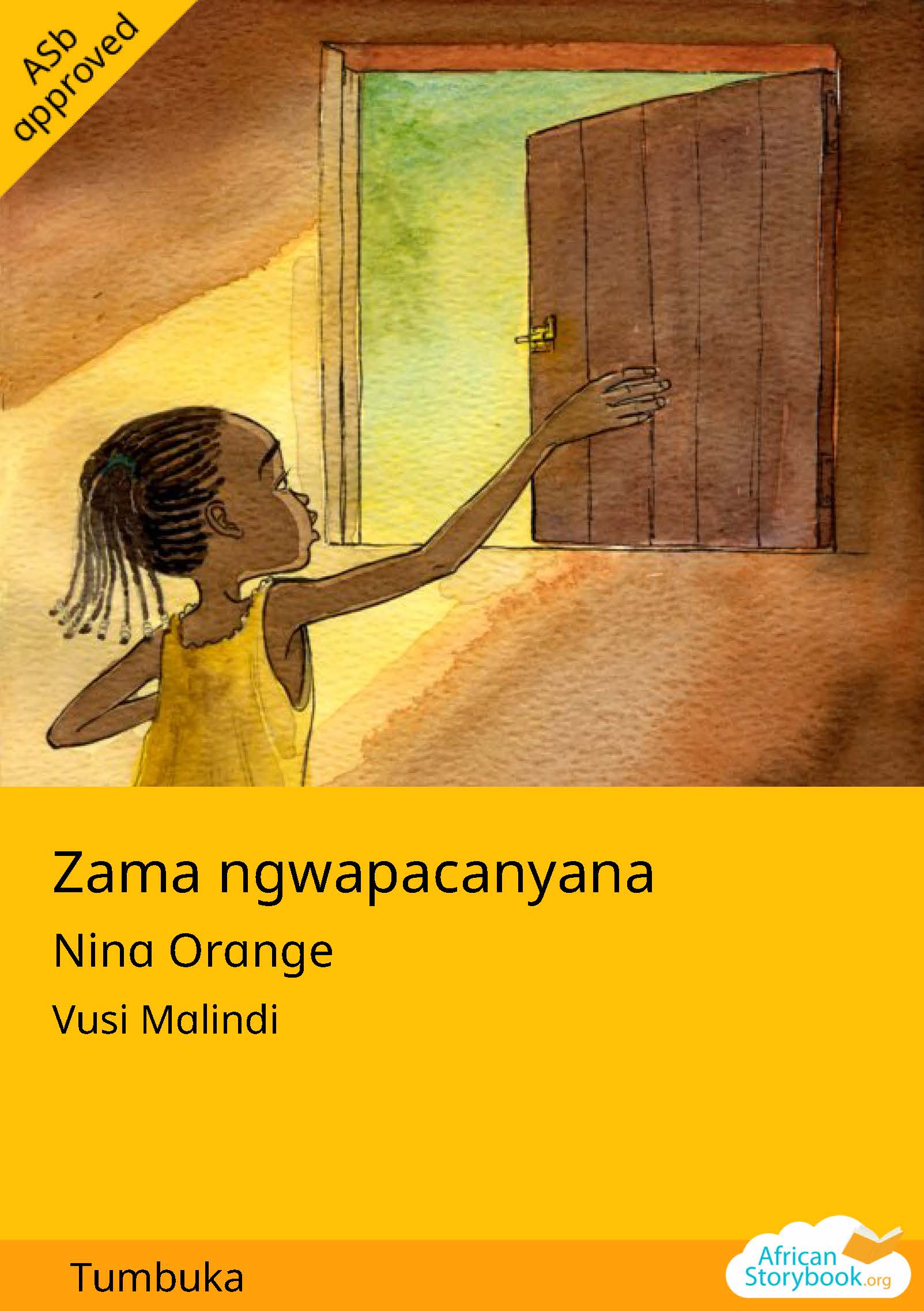 Zama Ngwapacanyana cover