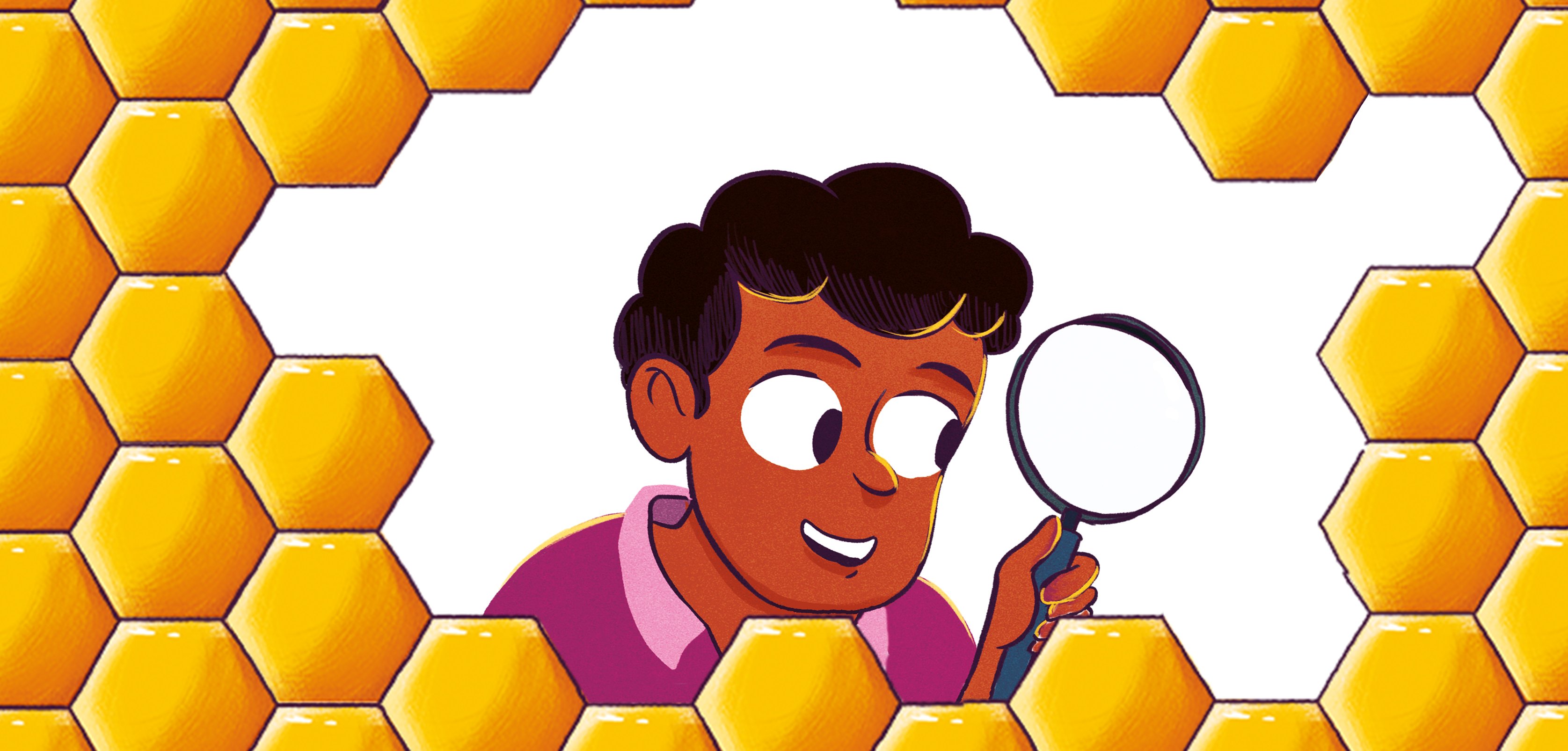 Cover of Pranav the Pattern Detective