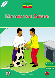 Illustration for Kunuunsa Saree