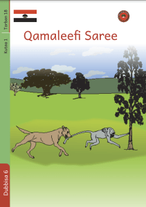 Illustration for Qamaleefi Saree