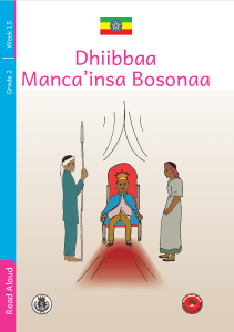 Illustration for Dhiibbaa Manca’insa Bosonaa