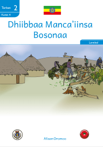 Illustration for Dhiibbaa Manca'iinsa Bosonaa