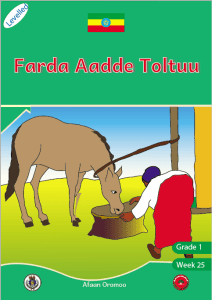 Illustration for Farda Aadde Toltuu