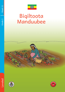 Illustration for Biqiltoota Manduubee