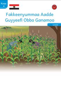 Illustration for Fakkeenyummaa Aadde Guyyeefi Obbo Ganamoo