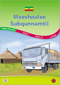 Illustration for Meeshaalee Sabqunnamtii