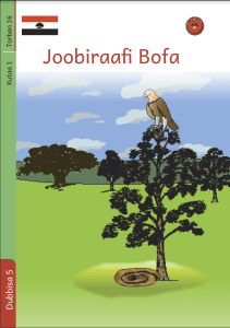 Joobiraafi Bofa