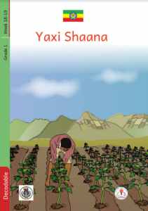 Illustration for Yaxi Shaana