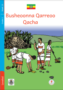 Illustration for Busheoonna Qarreoo Qacha