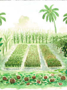 Illustration for Fruits and Vegetables