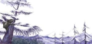 Tơdrong bô|k thông ngôi chơgơu Bhabhloo