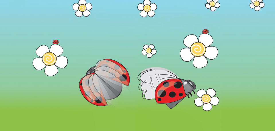 Cover of La Coccinelle, a French picture book