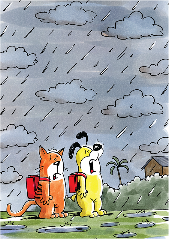 Cover of Cat &amp; Dog and the Rain