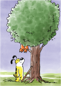 Cat & Dog: Where Is Cat