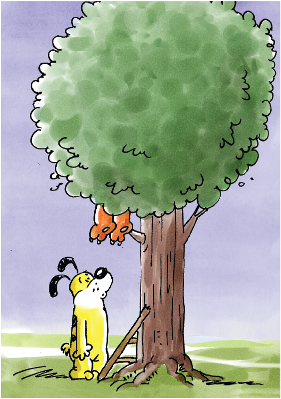 Cover of Cat &amp; Dog: Where Is Cat