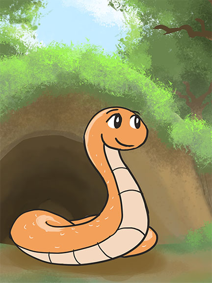 Cover of The Observant Little Snake
