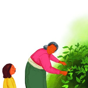 Nettle Medicine