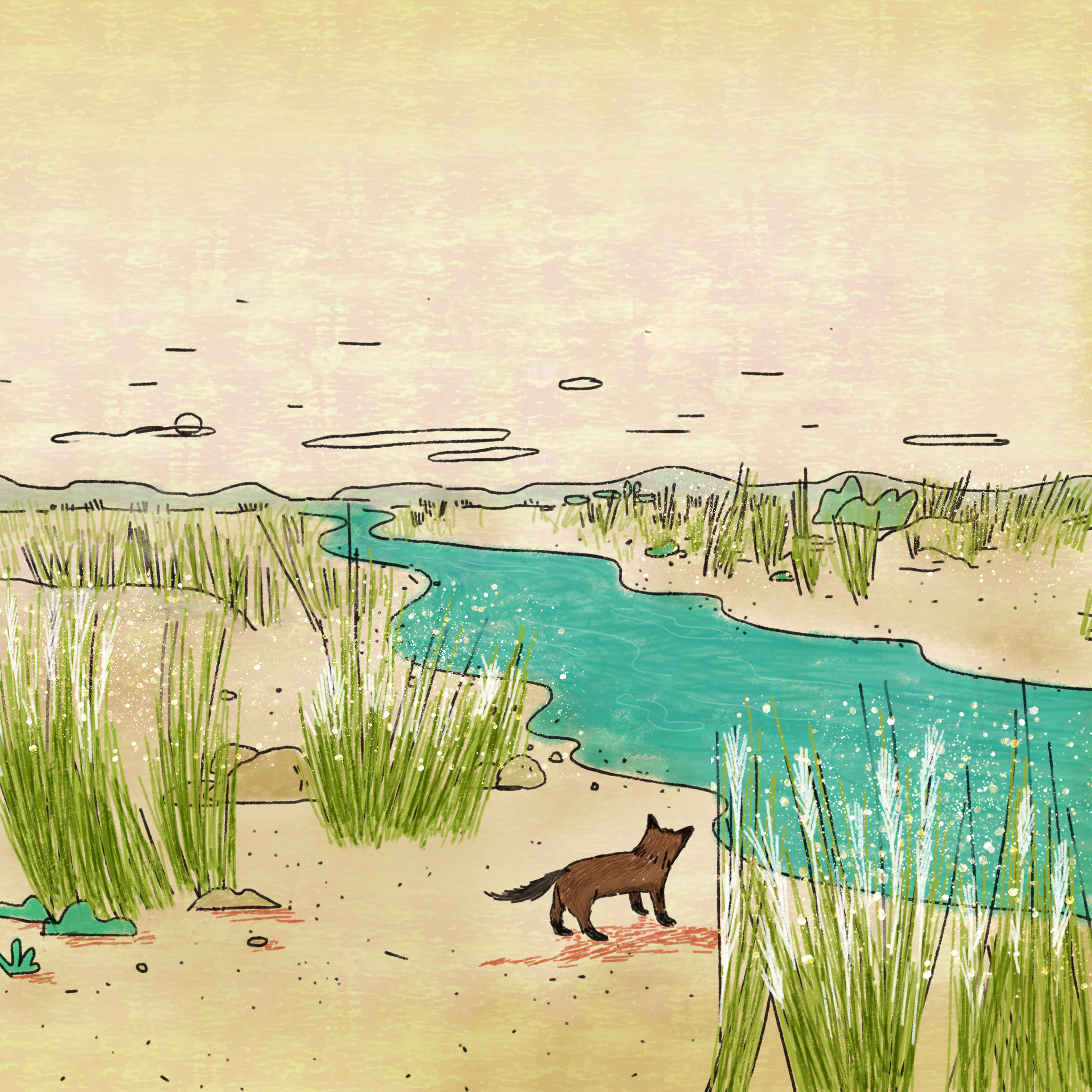 Cover of The Fox and the Calf