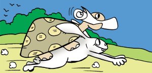 The Hare & the Tortoise (Again!)