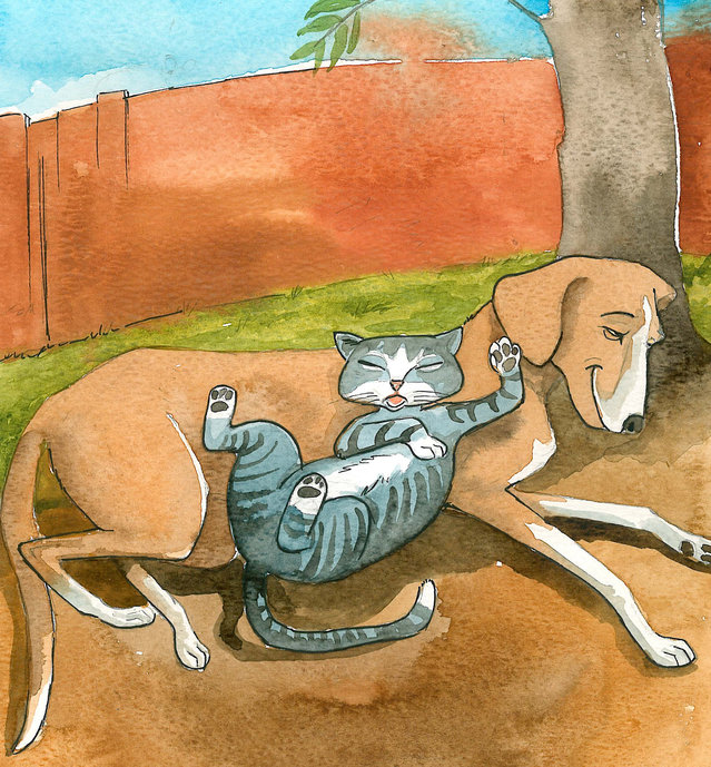 Cover of Dogs versus Cats