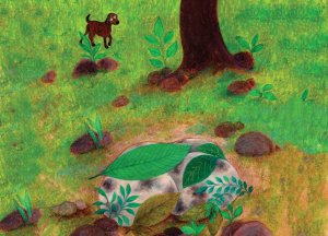 The Dog’s Eggs