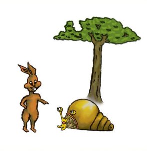 The Race