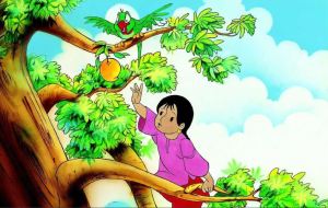 Dividing the Mango