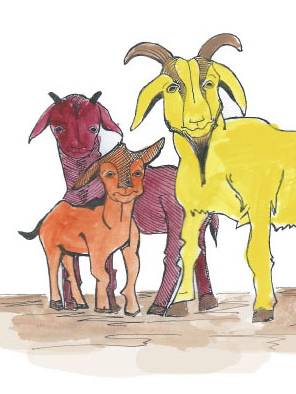 Cover of The Three Billy Goats Gruff