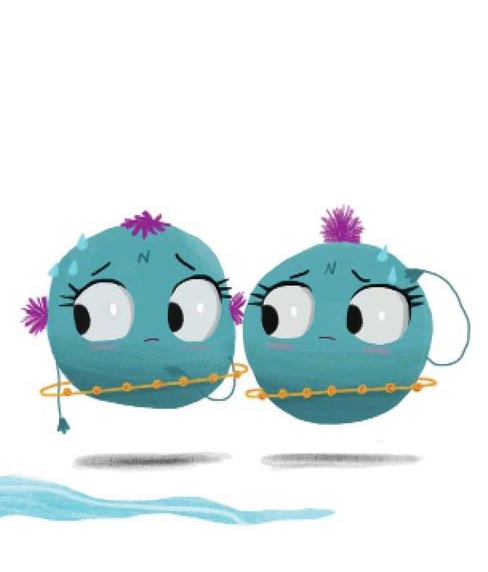 Cover of The Water Carnival