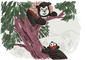 Duma Juga Bisa Melakukannya!