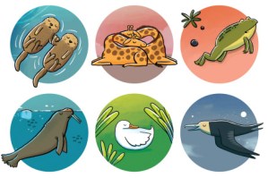 Bagaimana Cara Kamu Tidur?