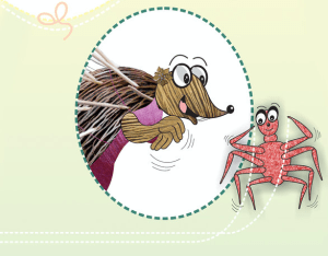 سیہ کے لیے لباس