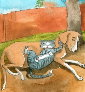 کتّے بمقابلہ بلّیاں