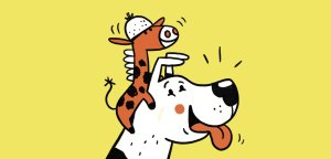 کھلونا گم ہو گیا