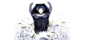 भालु माछा मार्न जान्छ।