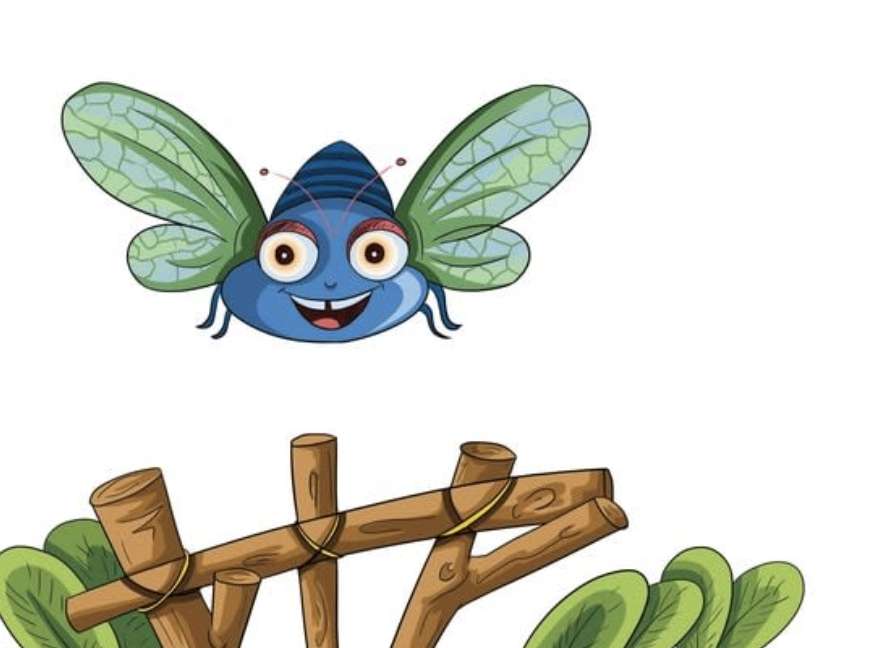 Cover of Let´s fly