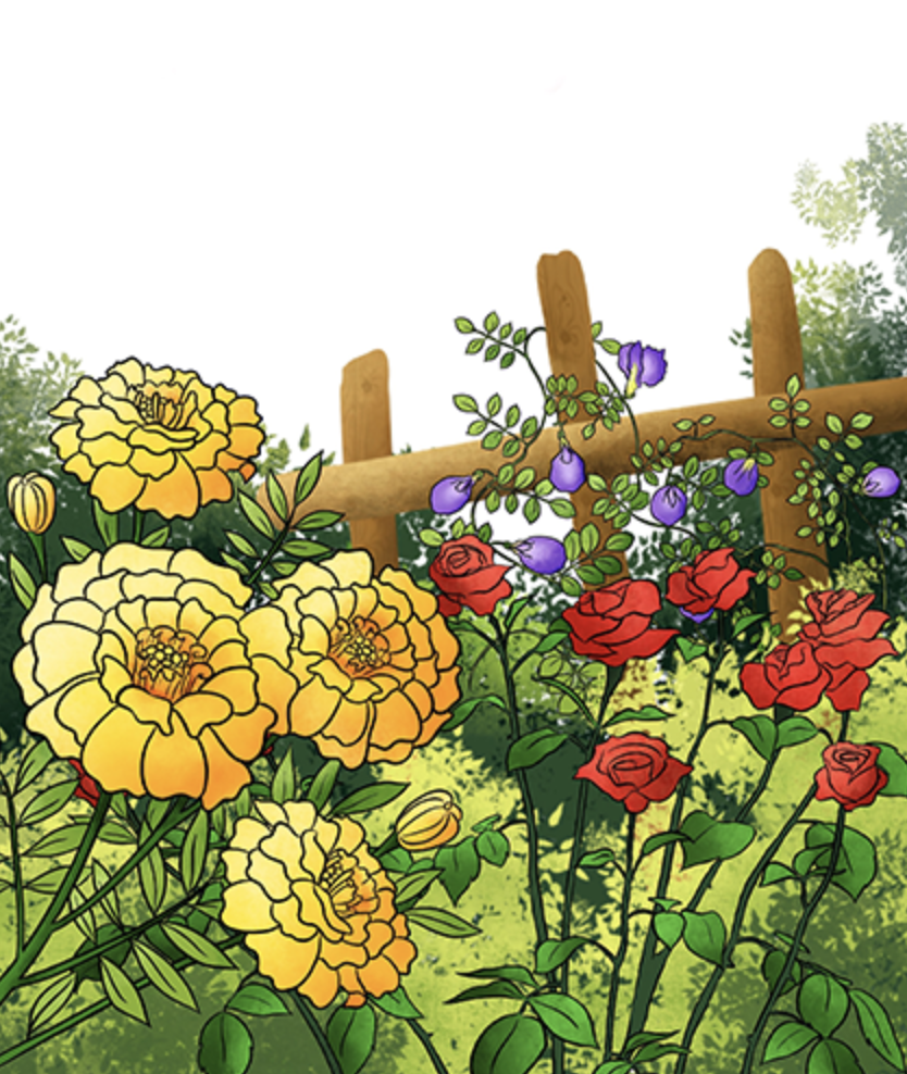 Cover of Flower garden