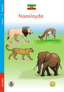 Illustration for Naaslayda