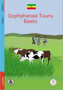 Illustration for Qophphanaa Tuuru Beeto
