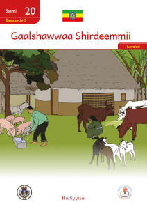 Illustration for Gaalshawwaa Shirdeemmii