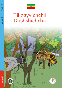 Illustration for Tikaayyichchii Diishshichchii