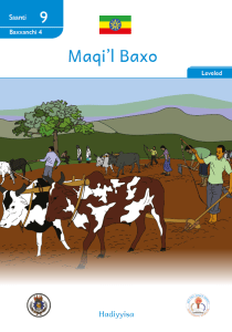 Illustration for Maqi’l Baxo