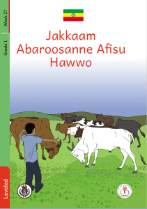Illustration for Jakkaam Abaroosanne Afisu Hawwo