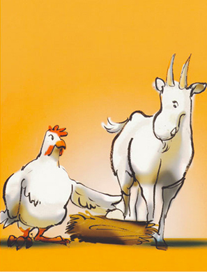 Asal Usul Suara Petok Ayam cover